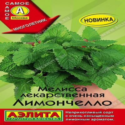 Мелисса лекарственная Лимончелло, 5 шт семян (Лучшая цена)