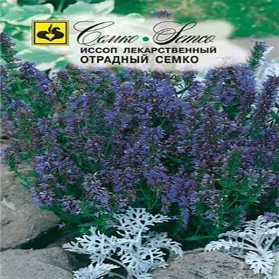 Иссоп Отрадный Семко, 0.2 г (Лучшая цена)