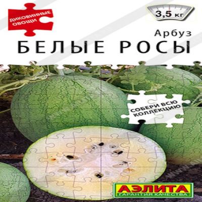 Арбуз Белые росы, 5 шт семян (Лучшая цена)