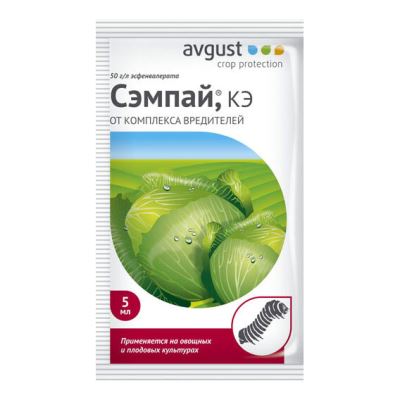 Сэмпай (Август), 5 мл (Лучшая цена)