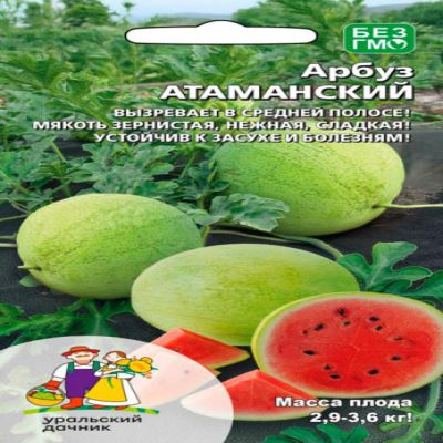 Арбуз Атаманский, 8 шт семян (Лучшая цена)