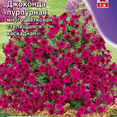Петуния Джоконда F1 пурпурная, 5 шт семян (Лучшая цена)