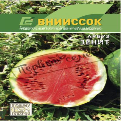 Арбуз Зенит, 10 шт семян (Лучшая цена)
