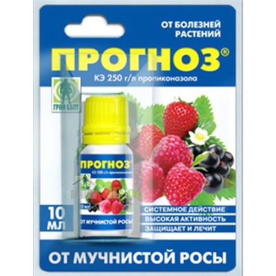 Прогноз (Грин Бэлт), 10 мл (Лучшая цена)