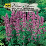 Бергамот лимонный (монарда) Солнцевский Семко, 0.05 г (Лучшая цена)
