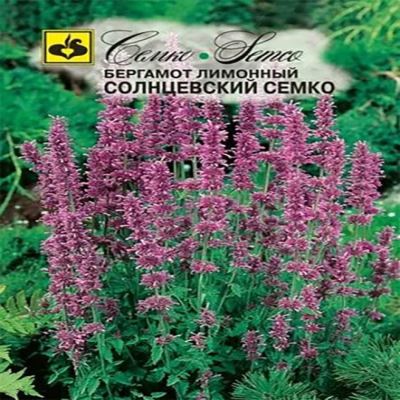 Бергамот лимонный (монарда) Солнцевский Семко, 0.05 г (Лучшая цена)