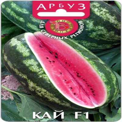 Арбуз Кай F1, 5 шт семян (Лучшая цена)