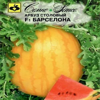 Арбуз Барселона F1, 5 шт семян (Лучшая цена)