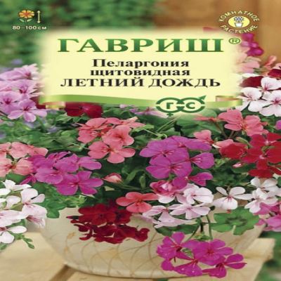 Пеларгония щитовидная Летний дождь, смесь, 3 шт семян (ампельная) (Лучшая цена)