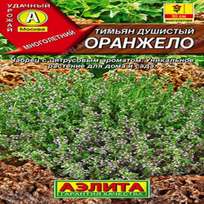 Тимьян Оранжело, 10 шт семян (Лучшая цена)