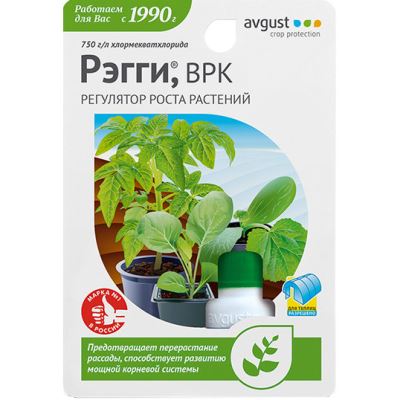 Рэгги (Август), 1 мл (Лучшая цена)