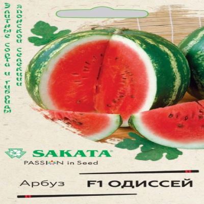 Арбуз Одиссей F1, 5 шт семян (Лучшая цена)