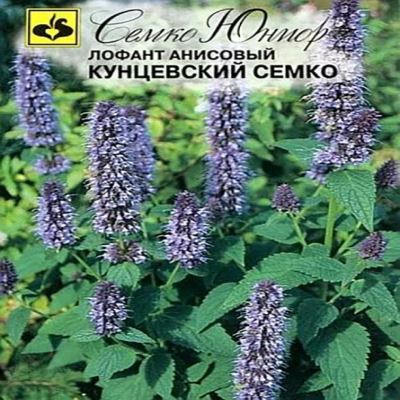 Лофант анисовый Кунцевский Семко, 0.1 г (Лучшая цена)