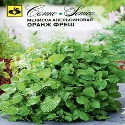 Мелисса апельсиновая Оранж Фреш, 15  шт семян (Лучшая цена)