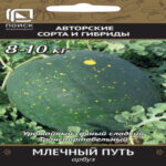 Арбуз Млечный путь, 5 шт семян (Лучшая цена)