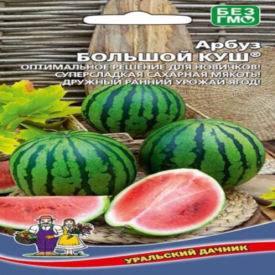 Арбуз Большой куш, 10 шт семян (Лучшая цена)