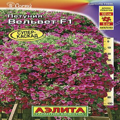 Петуния Вельвет F1 ампельная, 4 шт семян (Лучшая цена)