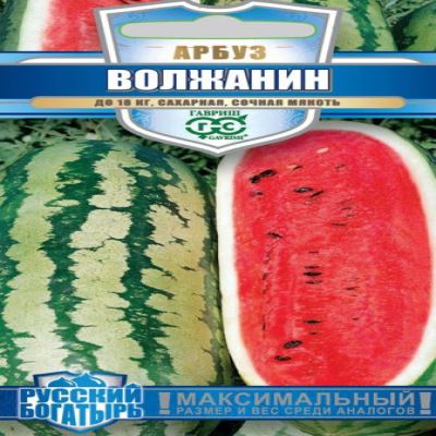 Арбуз Волжанин, 1 г (Лучшая цена)