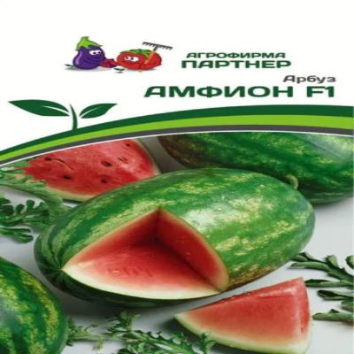 Арбуз Амфион F1, 5 шт семян (Лучшая цена)