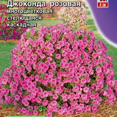 Петуния Джоконда F1 розовая, 5 шт семян (Лучшая цена)