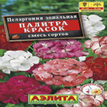 Пеларгония зональная Палитра красок, смесь, 4 шт семян (Лучшая цена)