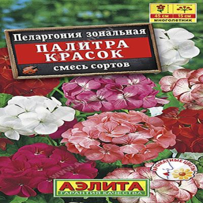 Пеларгония зональная Палитра красок, смесь, 4 шт семян (Лучшая цена)