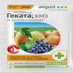 Геката (Август), 3 мл (Лучшая цена)