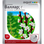Валлар Г (Август), 24 г (Лучшая цена)