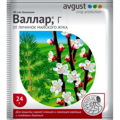 Валлар Г (Август), 24 г (Лучшая цена)