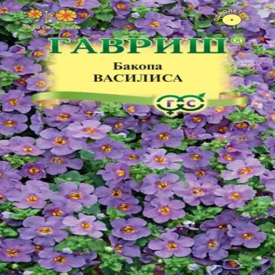 Бакопа Василиса, 3 шт семян (Лучшая цена)