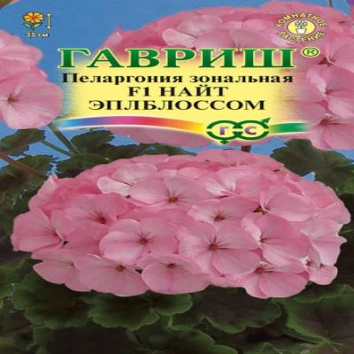 Пеларгония зональная Найт Эплблоссом F1, 4 шт семян (Лучшая цена)