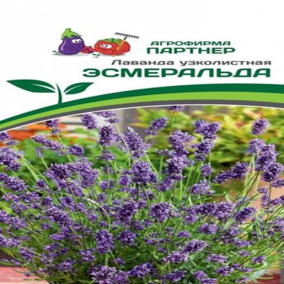 Лаванда узколистная Эсмеральда, 0.05 г (Лучшая цена)