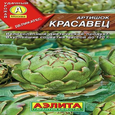 Артишок Красавец, 12 шт семян (Лучшая цена)