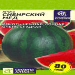 Арбуз Сибирский Мед, 1 г (Лучшая цена)
