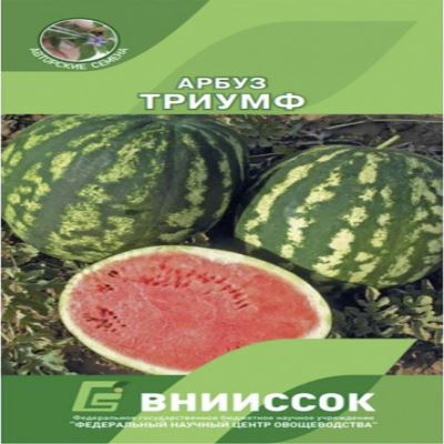 Арбуз Триумф, 10 шт семян (Лучшая цена)