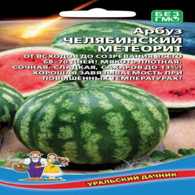 Арбуз Челябинский метеорит, 10 шт семян (Лучшая цена)
