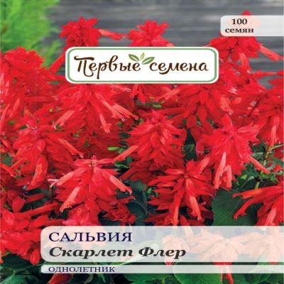 Сальвия Скарлет Флер, 0.35 г (Лучшая цена)