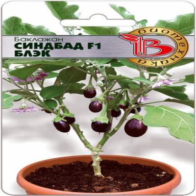 Баклажан Синдбад F1 Блэк, 5 шт семян (Лучшая цена)