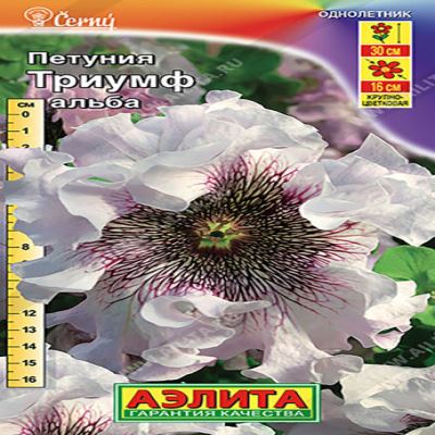 Петуния Триумф Альба крупноцветковая, 7 шт семян (Лучшая цена)