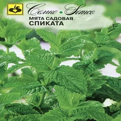 Мята садовая Спиката, 0.05 г (Лучшая цена)