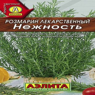 Розмарин Нежность, 20 шт семян (Лучшая цена)