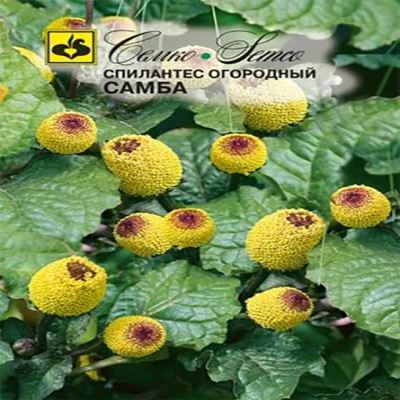 Спилантес огородный Самба, 0.1 г (Лучшая цена)