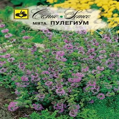Мята Пулегиум, 0.05 г (Лучшая цена)