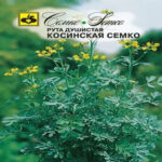 Рута душистая Косинская Семко, 1 г (Лучшая цена)