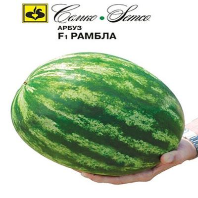 Арбуз Рамбла F1, 10 шт семян (Лучшая цена)