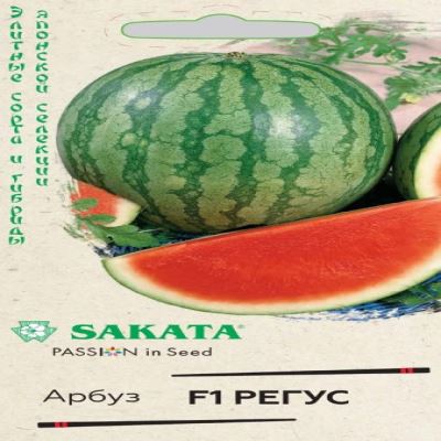 Арбуз Регус F1, 3 шт семян (бессемянный) (Лучшая цена)