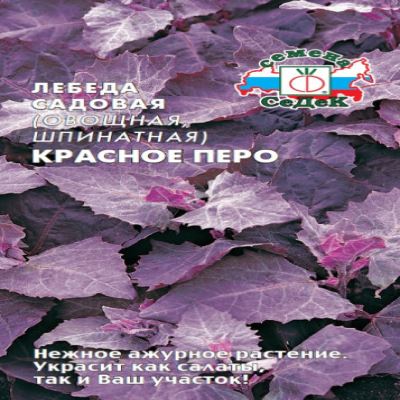 Лебеда Красное перо (шпинатная), 0.2 г (Лучшая цена)