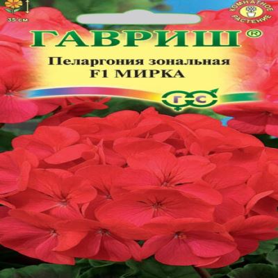 Пеларгония зональная Мирка F1, 4 шт семян (Лучшая цена)