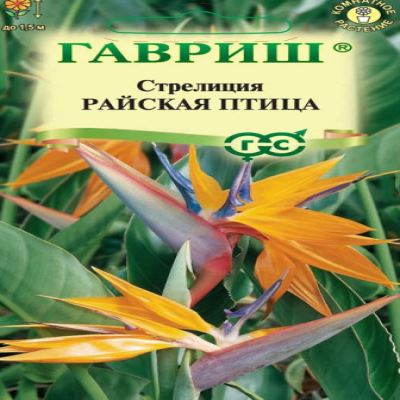 Стрелиция Райская Птица, 3 шт семян (Лучшая цена)