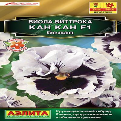 Виола Кан Кан белая F1, 7 шт семян (Лучшая цена)